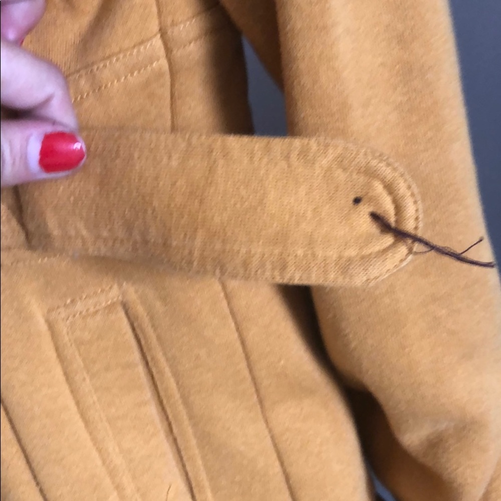 Yellow Jacket - Picture 6 of 6
